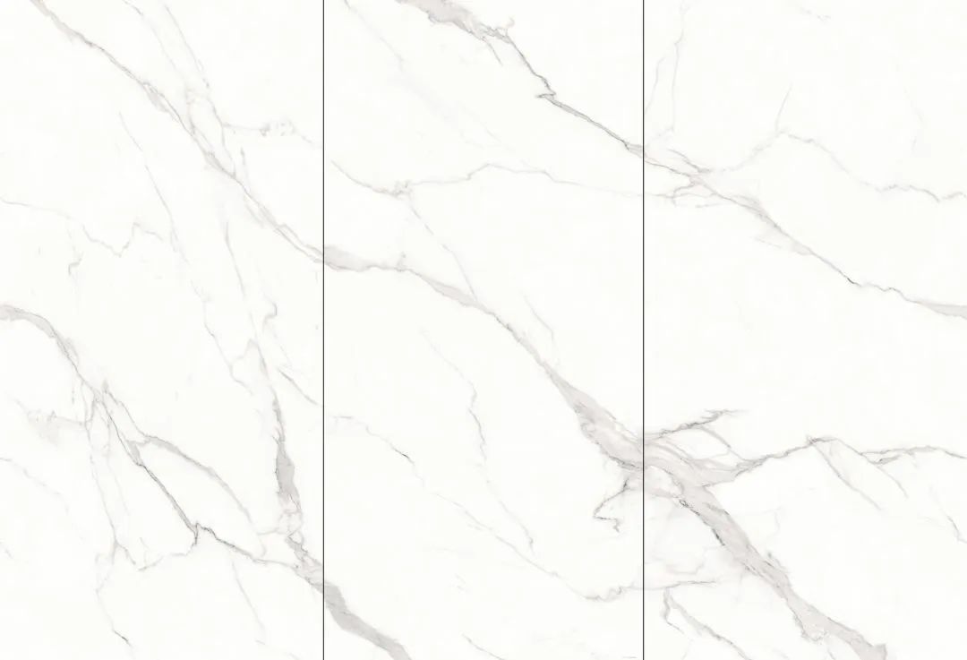 【新品】奢華定制，1600x3200mm成就大宅風范！(圖24)