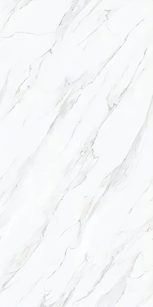 【新品】奢華定制，1600x3200mm成就大宅風范！(圖26)